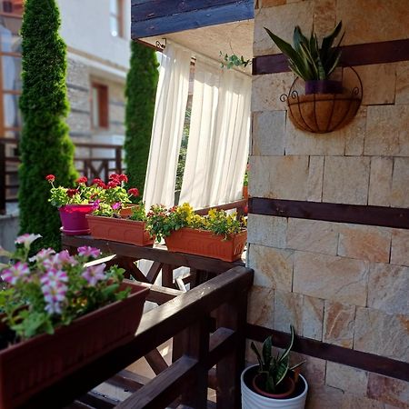 Mila Vip Apartment 반스코 외부 사진